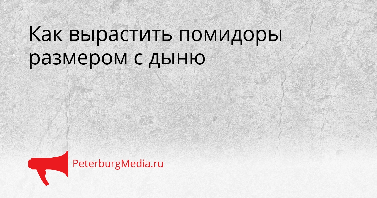 Как вырастить помидоры размером с дыню Сгенерировано