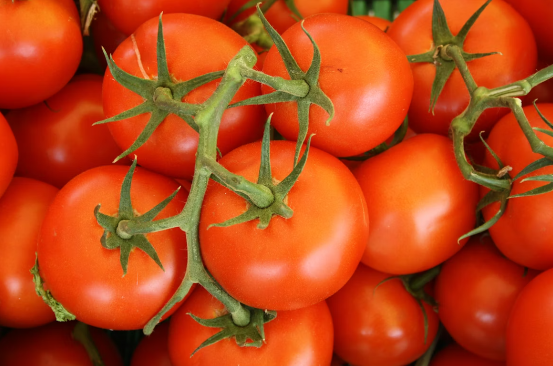 Тематическое фото unsplash.com