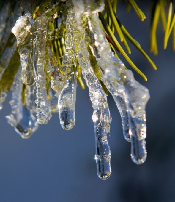 Тематическое фото https://pxhere.com/ru