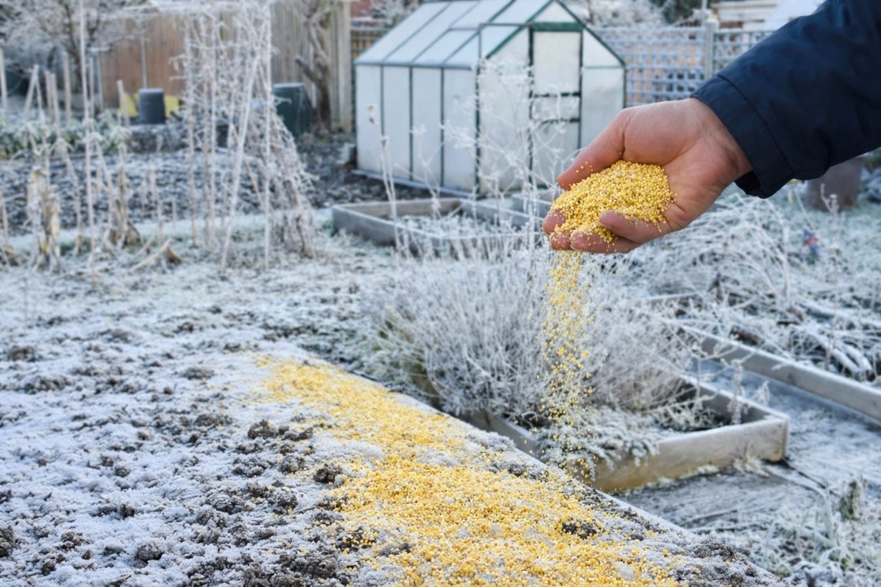 Тематическое фото сгенерировано ИИ Qwenlm.ai (18+)