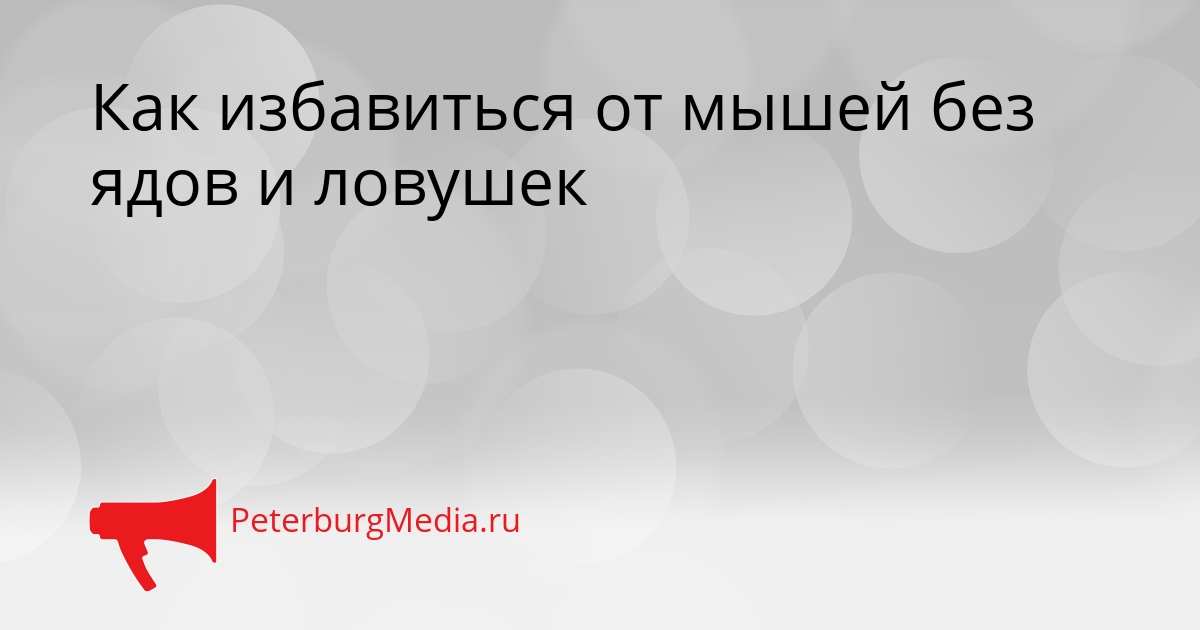 Как избавиться от мышей без ядов и ловушек Сгенерировано