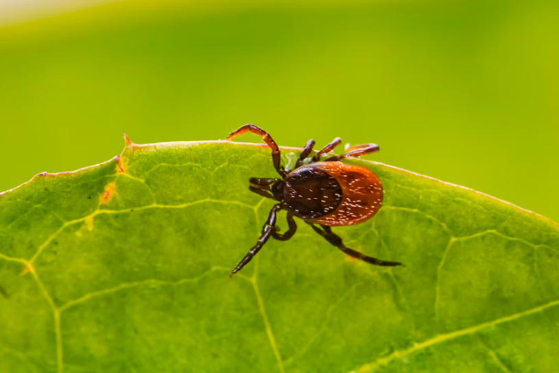 Тематическое фото Unsplash.com (18+)