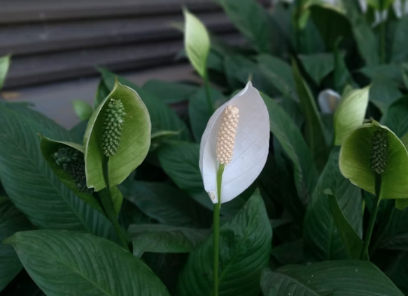 Тематическое фото unsplash (18+)