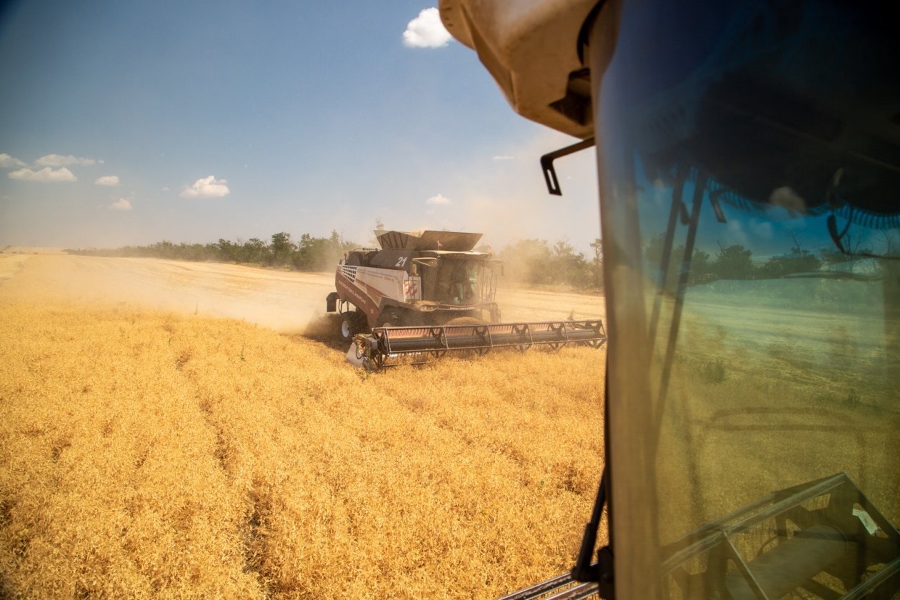 Как получить доплату за сельский стаж, рассказали на Ставрополье ИА Stavropol.Media