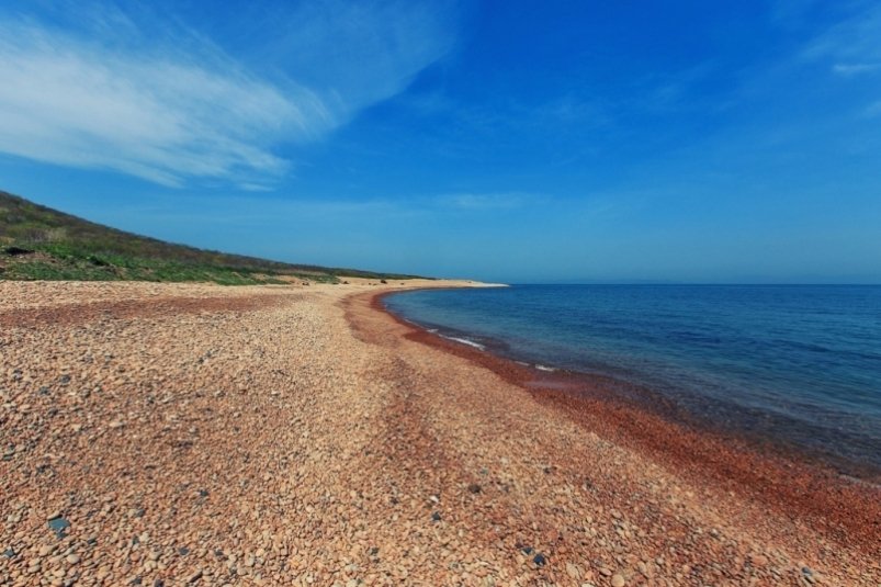 Тематическое фото ИА PrimaMedia