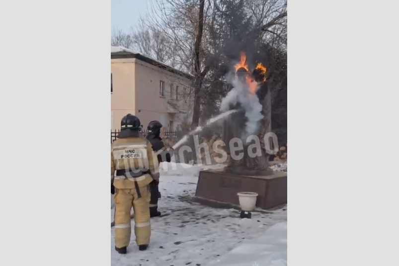 Пожар МЧС ЕАО