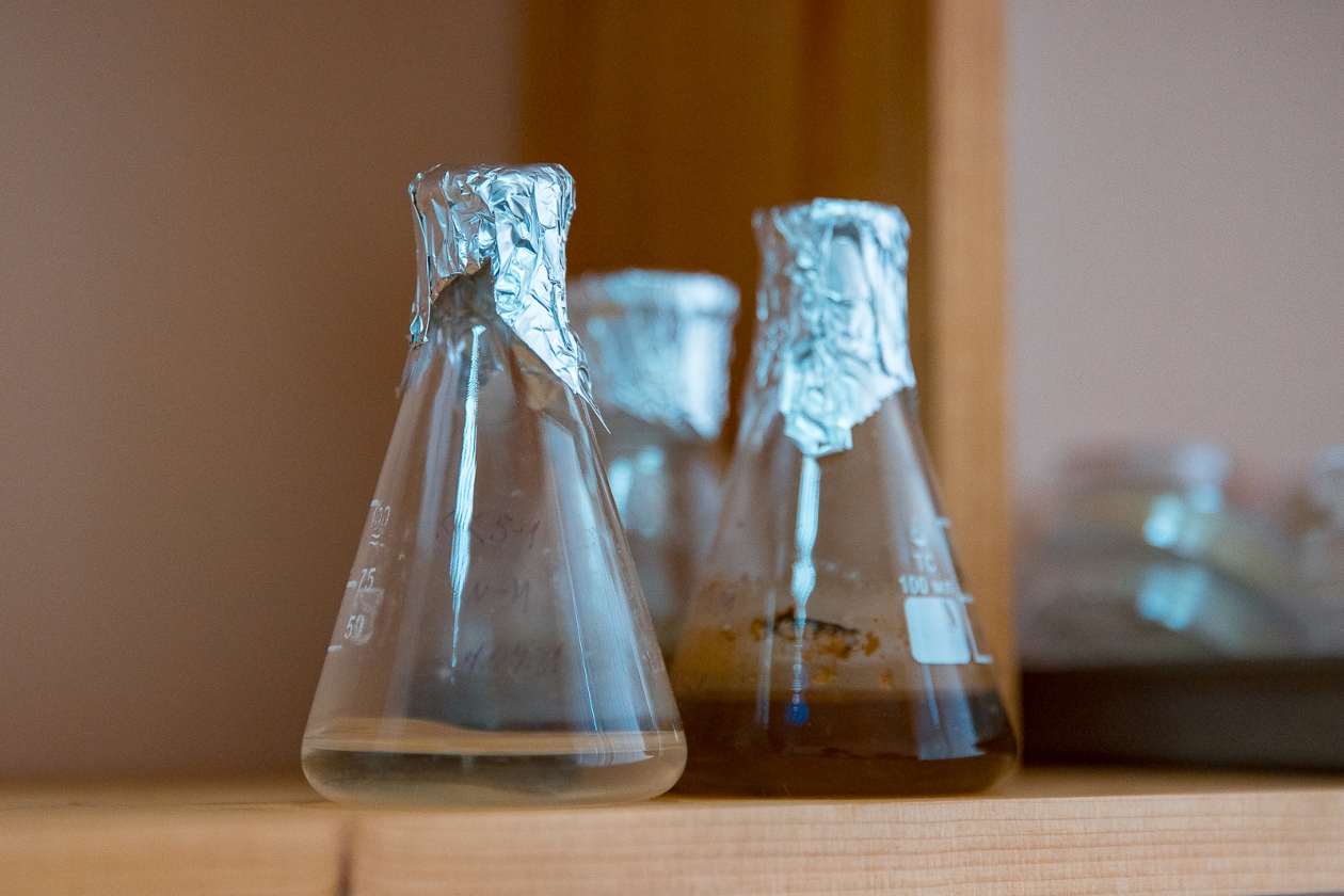 пробирка, пробирки, колба, анализ, анализы, лаборатория, исследование Илья Аверьянов, ИА PrimaMedia