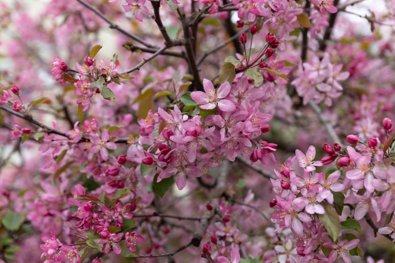 Весна уже близко: синоптик Тишковец назвал точную дату, когда уйдут морозы ИА Stavropol.Media