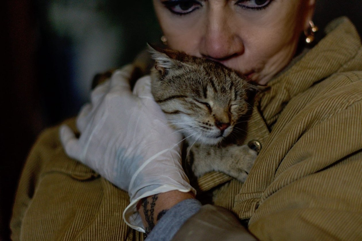 Волонтер  - номинант престижной премии Из архива Е. Воиновой