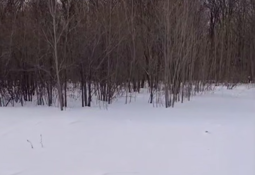 Тематическое фото Tg-канал &quothardkorushka_25&quot (18+)