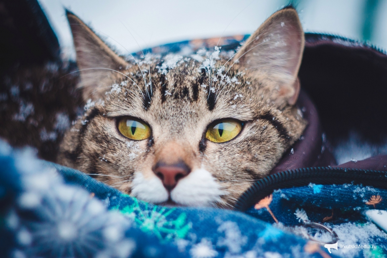 Тематическое фото ИА PrimaMedia