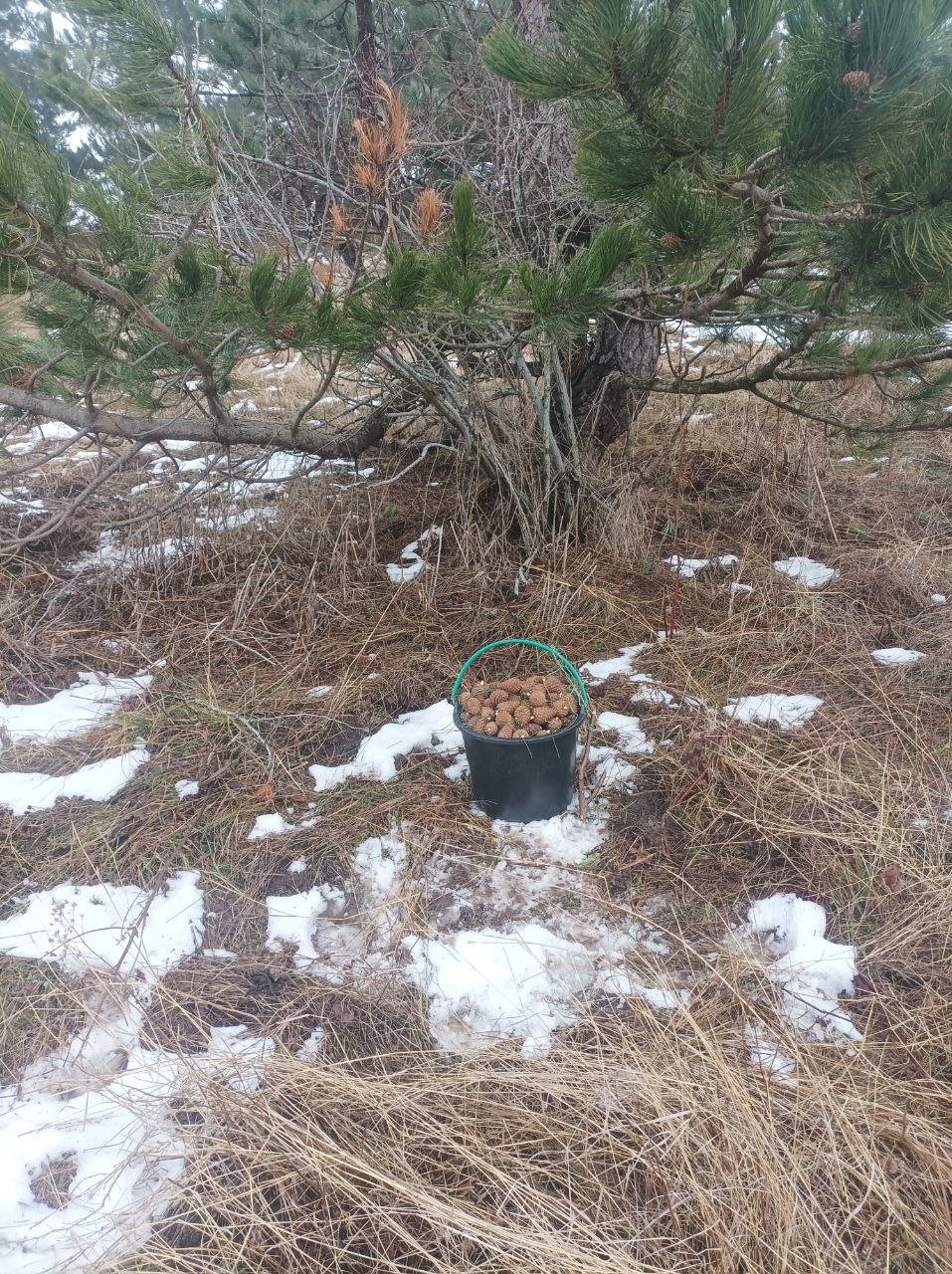 Минприроды Крыма