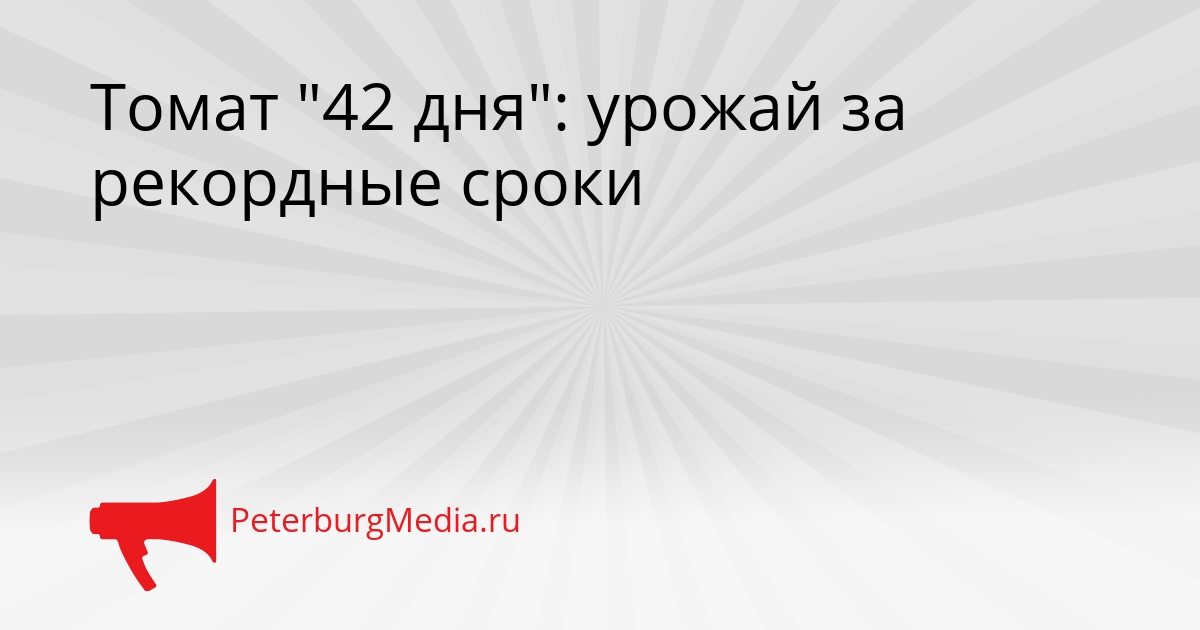 Томат &quot42 дня&quot: урожай за рекордные сроки Сгенерировано