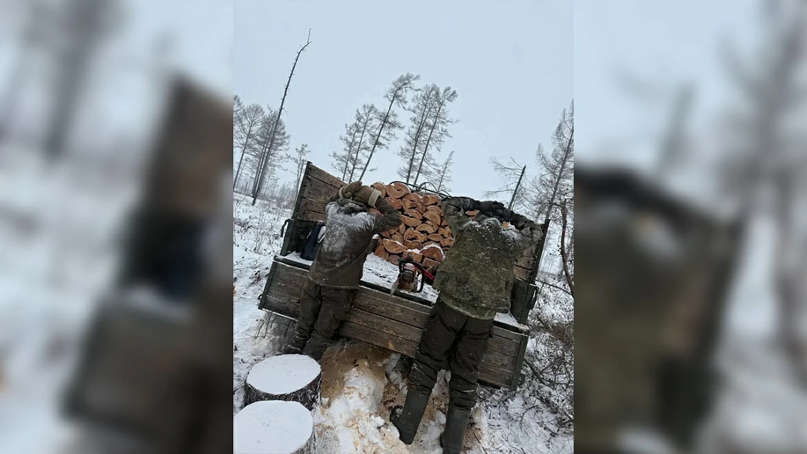 &quotЧерных лесорубов&quot задержали в Хабаровском крае Пресс-служба УМВД России по Хабаровскому краю