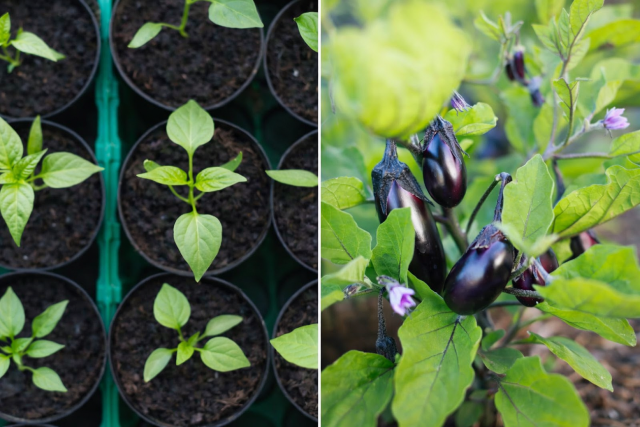 Тематическое фото unsplash.com