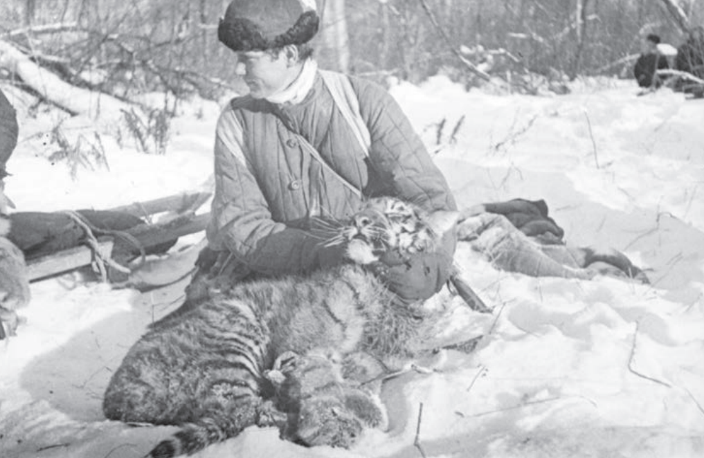 опубликовано в научной работе Центра «Амурский тигр» - «Амурский тигр: домыслы, легенды, факты. 1926 – 1970 гг.» (12+)