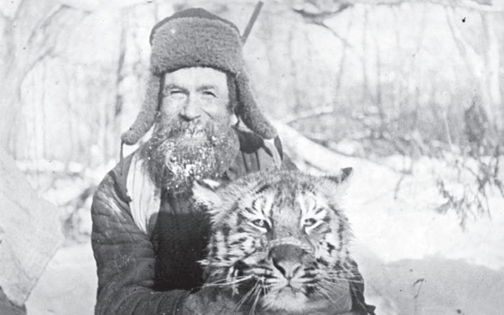 опубликовано в научной работе Центра «Амурский тигр» - «Амурский тигр: домыслы, легенды, факты. 1926 – 1970 гг.» (12+)