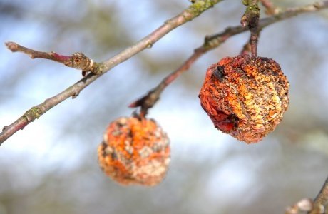 Тематическое фото Автор канала