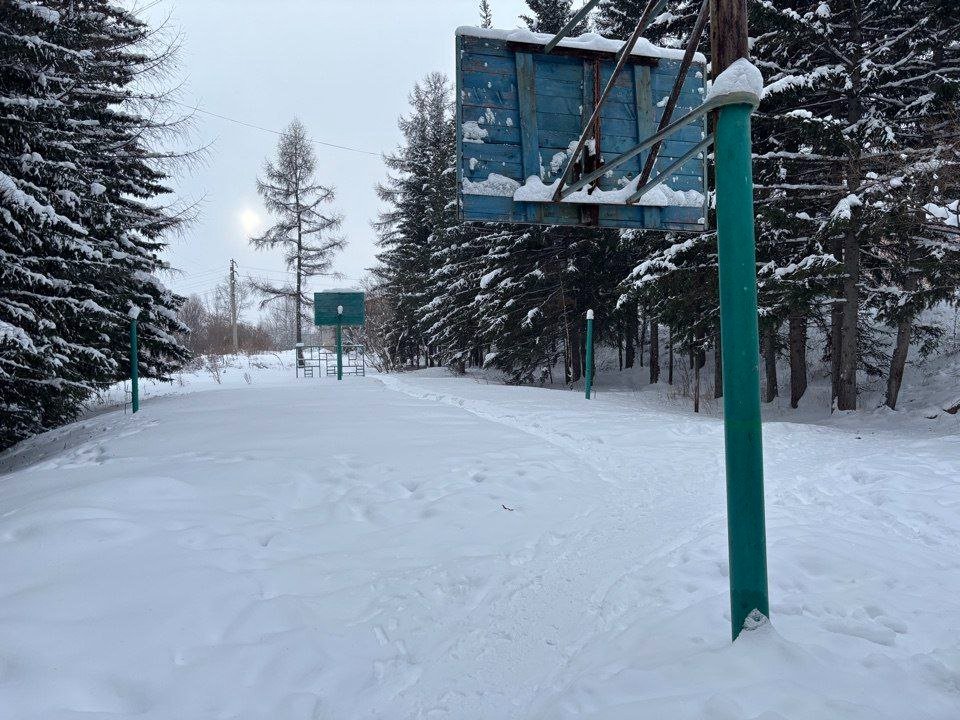 Участок за 1 млн рублей изъят у организации из-за мошенничества в Нижнеилимском районе Пресс-служба прокуратуры Иркутской области