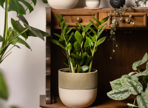 Тематическое фото unsplash (18+)