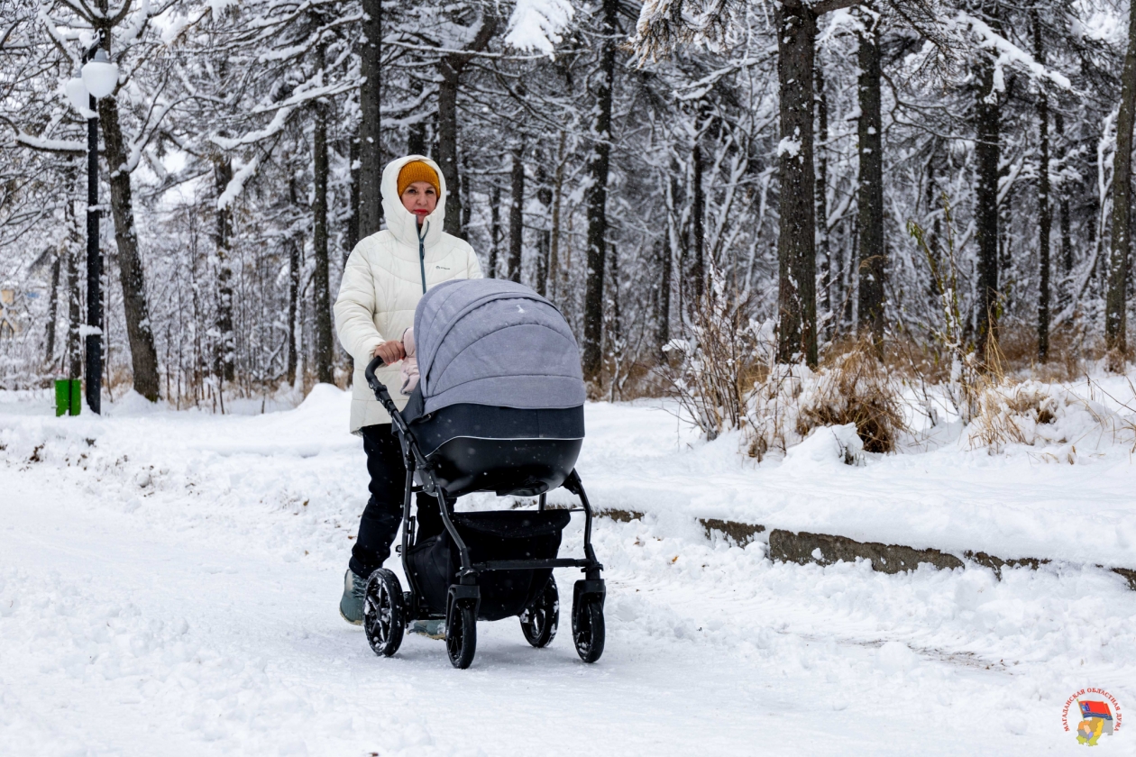 Анатолий Широков прокомментировал новую стратегию демографической политики ДФО Источник