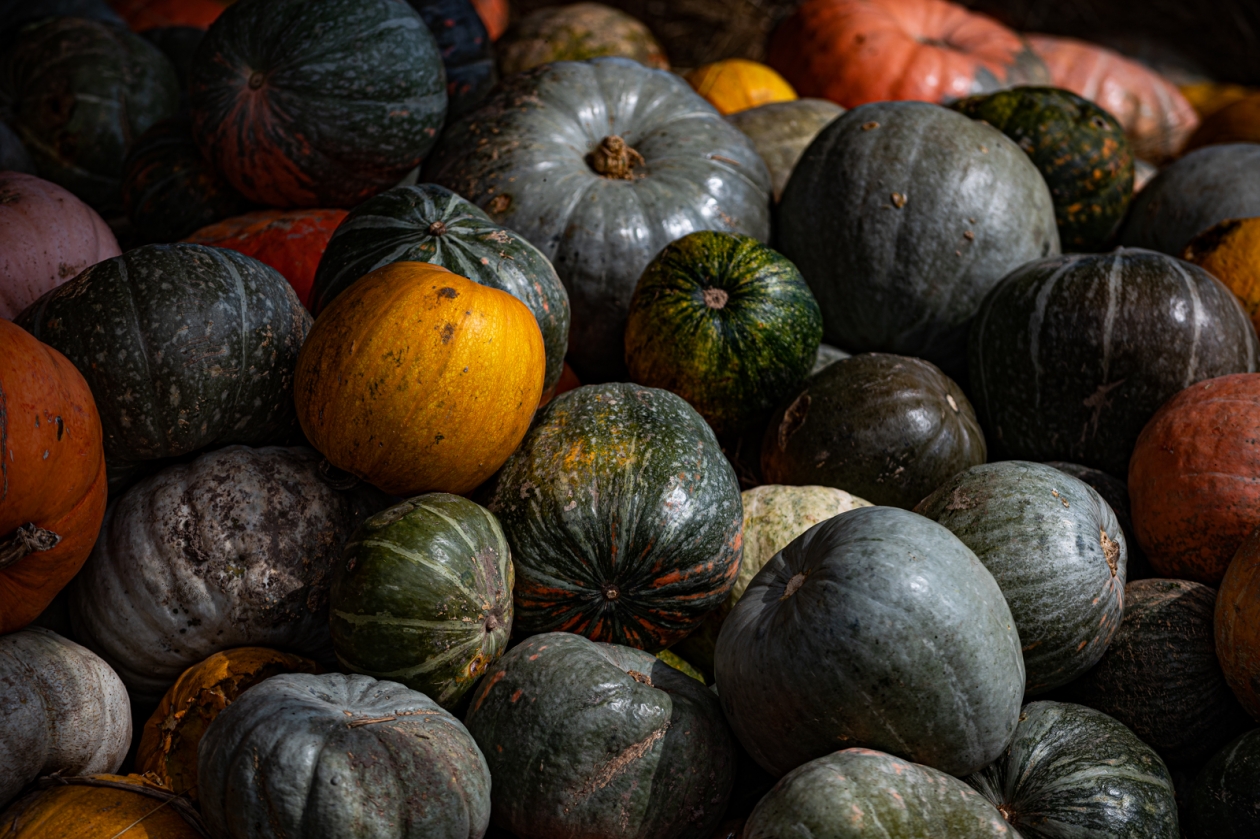 тыква Илья Табаченко, ИА PrimaMedia