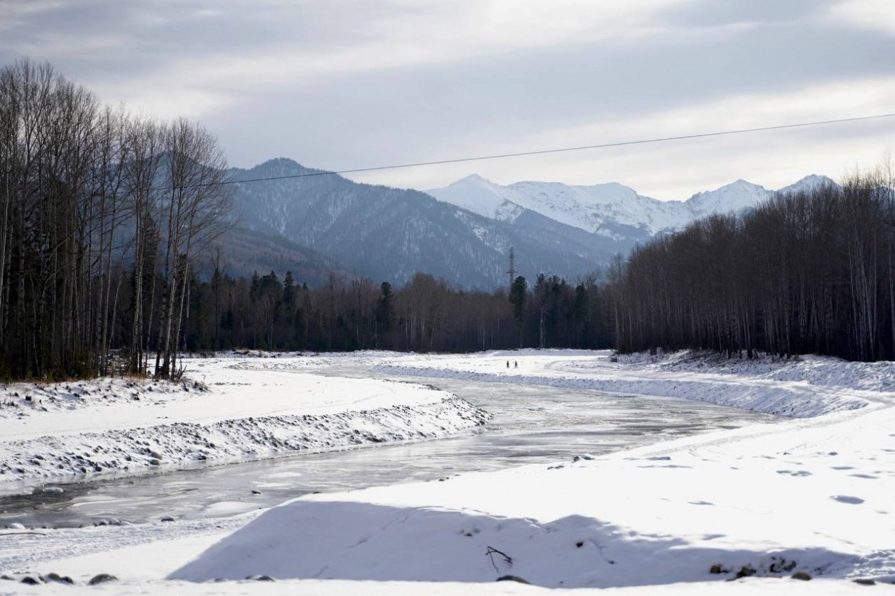 Реконструкцию селезащитного сооружения на полигоне отходов Байкальского ЦБК начнут в мае правительство Иркутской области