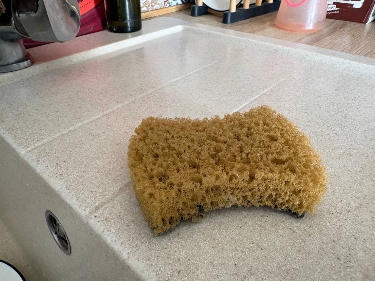 Не воняет, не жирная, и никаких бактерий: как чистить губку для посуды за 1 минуту ИА SevastopolMedia