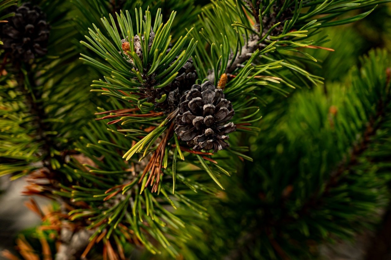 Тематическое фото ИА PrimaMedia