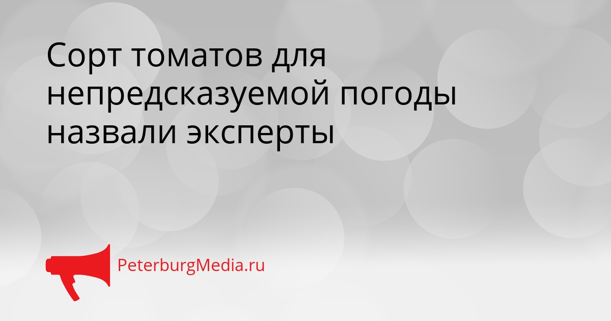 Сорт томатов для непредсказуемой погоды назвали эксперты Сгенерировано