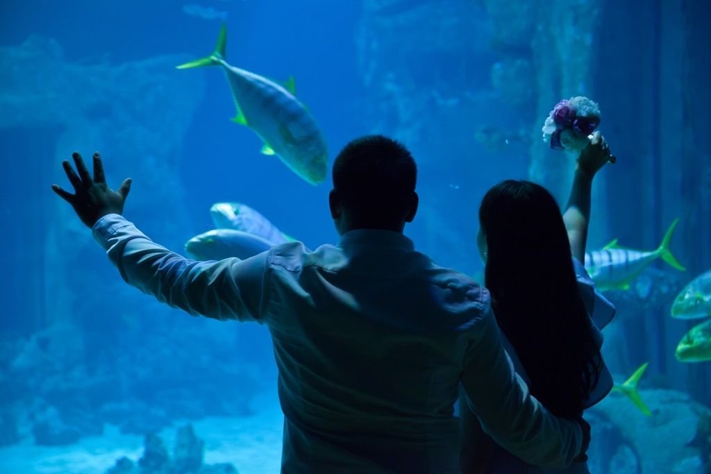 Москвариум https://www.mos.ru/