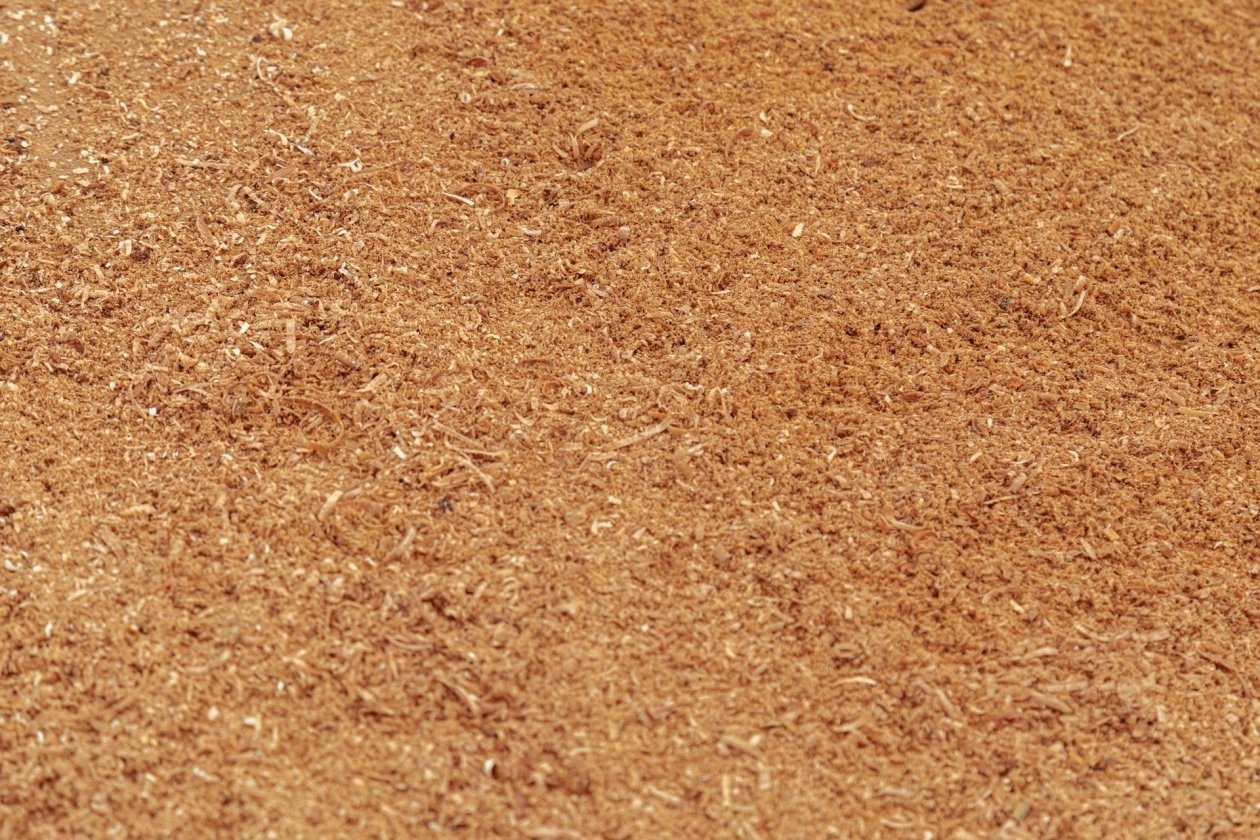 Тематическое фото unsplash.com