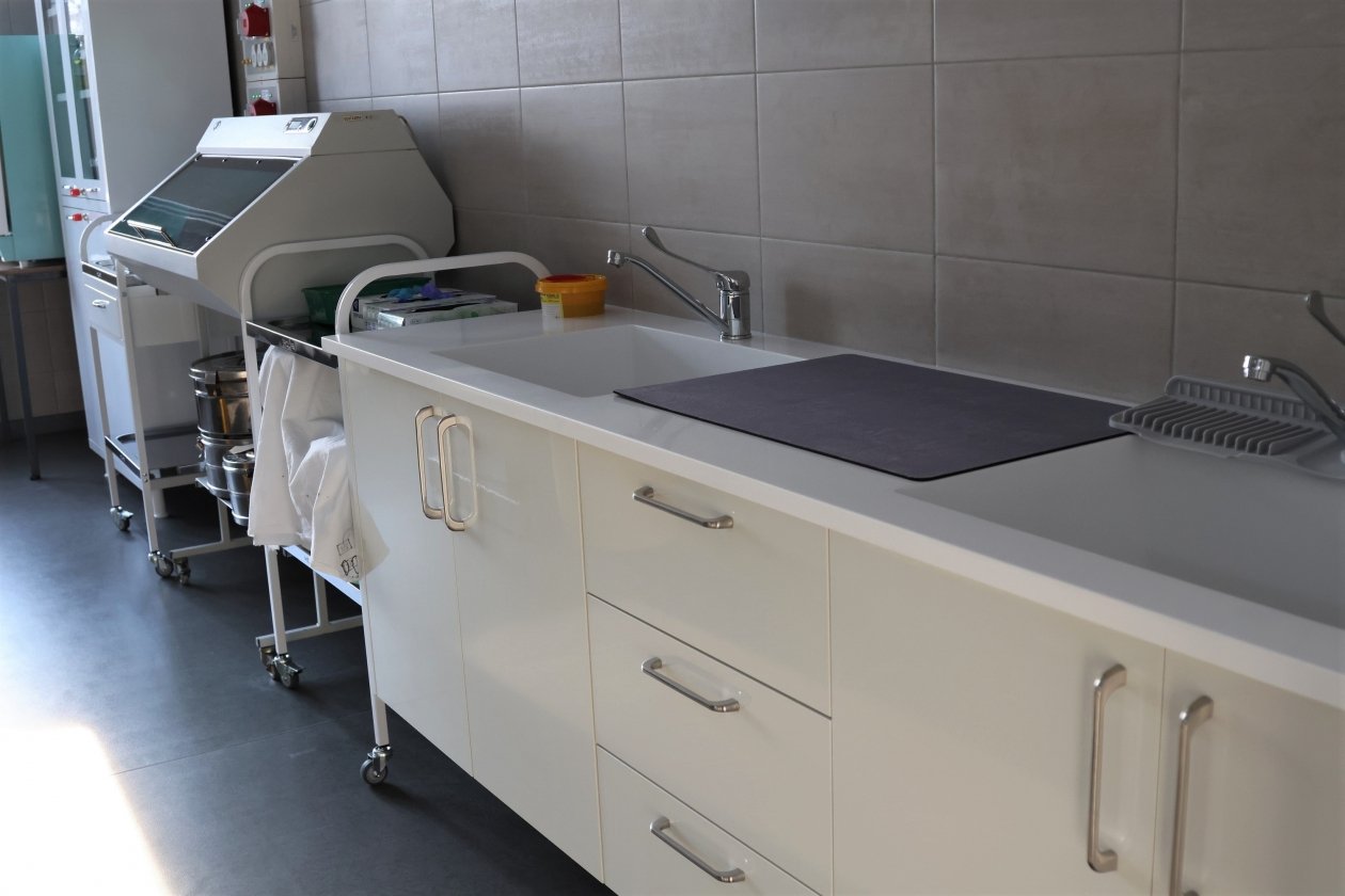 правительство области