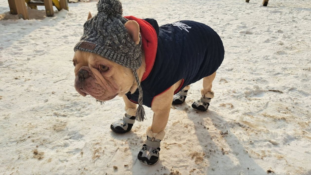 Снимать ли шапки в пятницу, 13-е? ИА UssurMedia