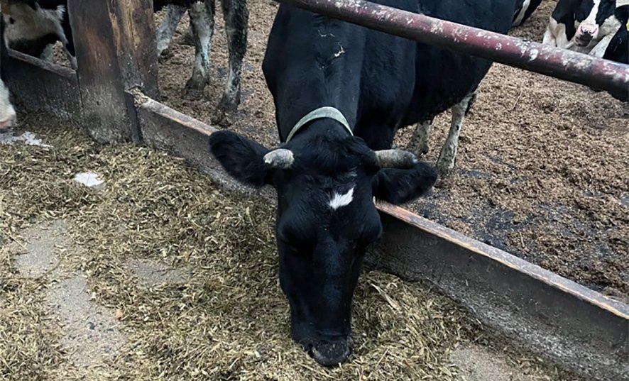 Тематическое фото Прокуратура.РФ