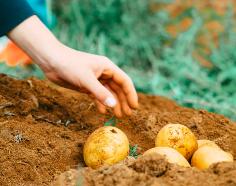 Тематическое фото Unsplash.com (18+)