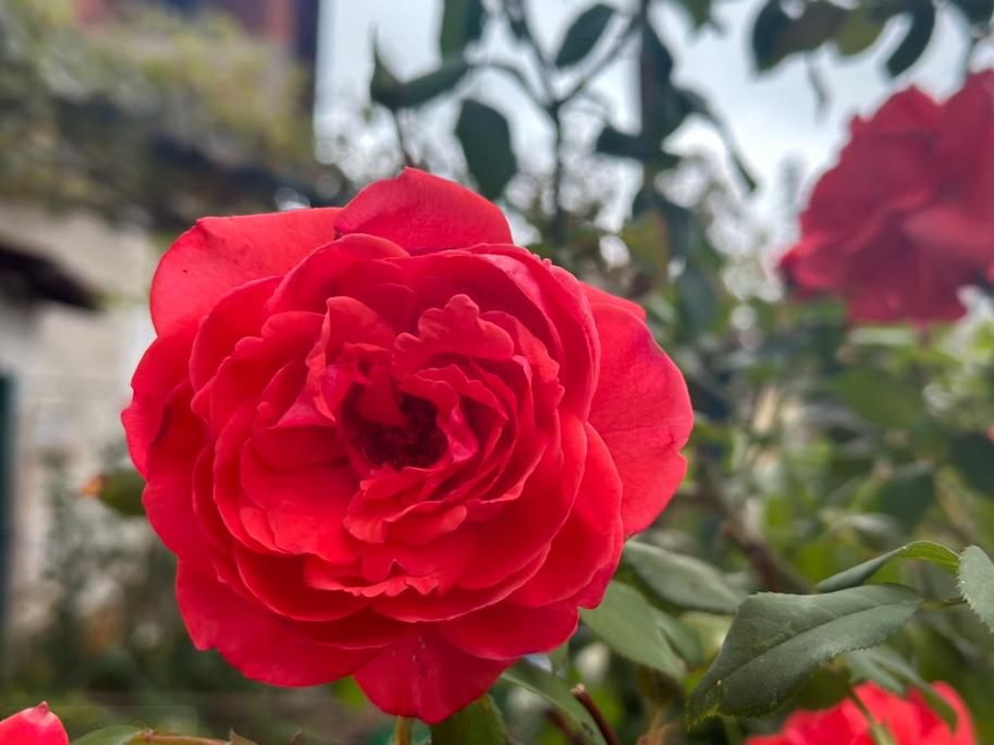 Тематическое фото Unsplash.com (18+)