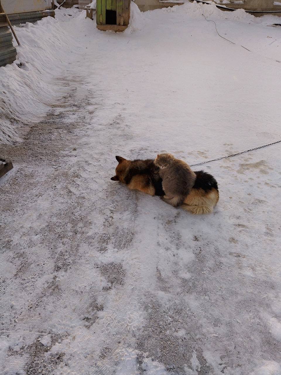 Иркутские истории (18+)