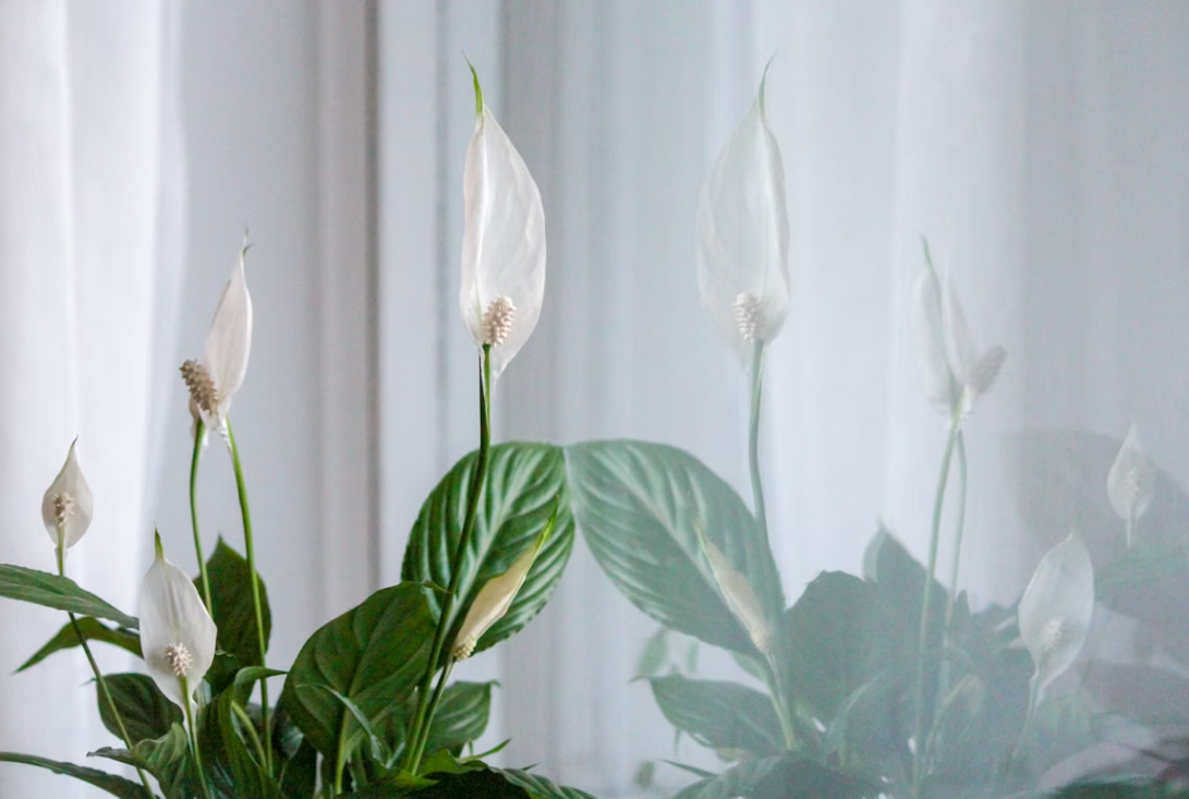 Тематическое фото unsplash (18+)