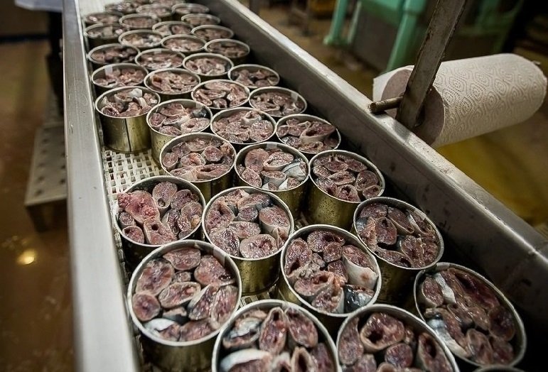 Производство рыбных консервов ИА PrimaMedia