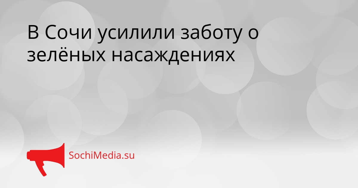В Сочи усилили заботу о зелёных насаждениях Сгенерировано
