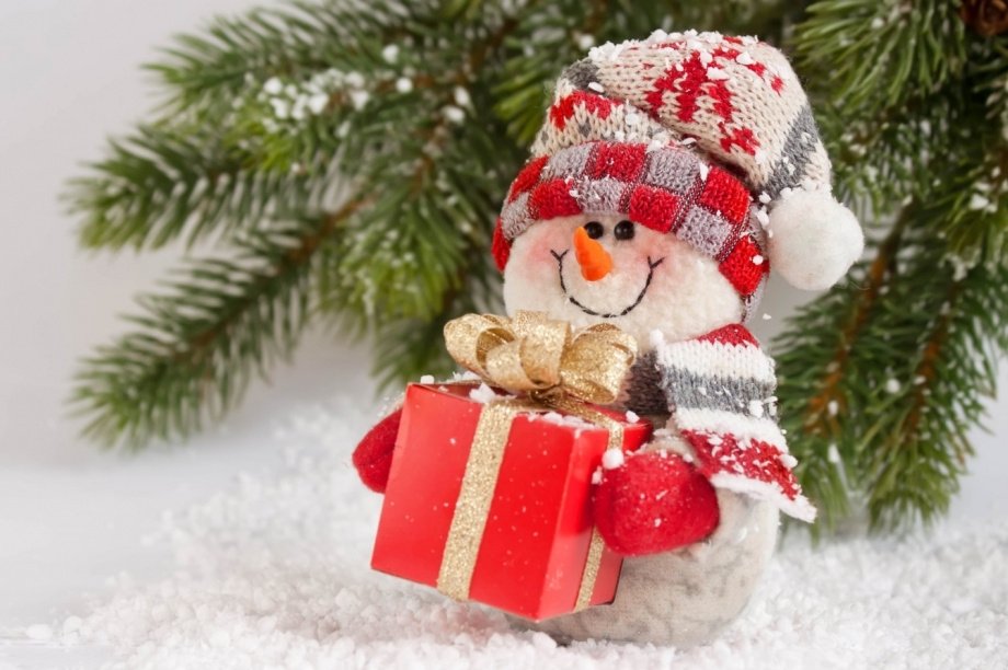 Фото Правительство Камчатского края