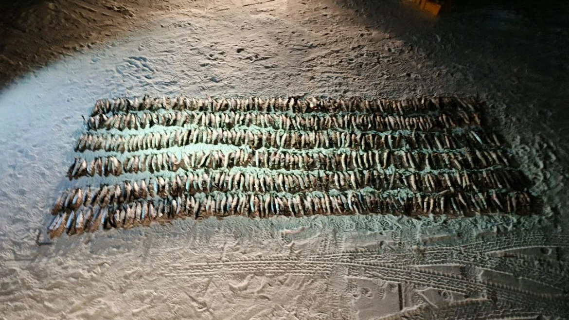 На 3,5 млн рублей изъяли омуля у браконьеров на Байкале Пресс-служба ГУ МВД по Иркутской области