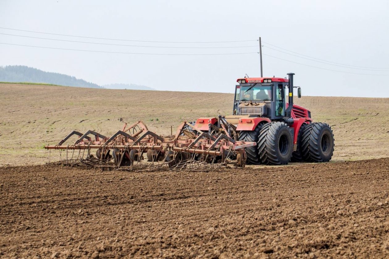 В Бурятии не хватает семян для весенних полевых работ Минсельхоз Бурятии