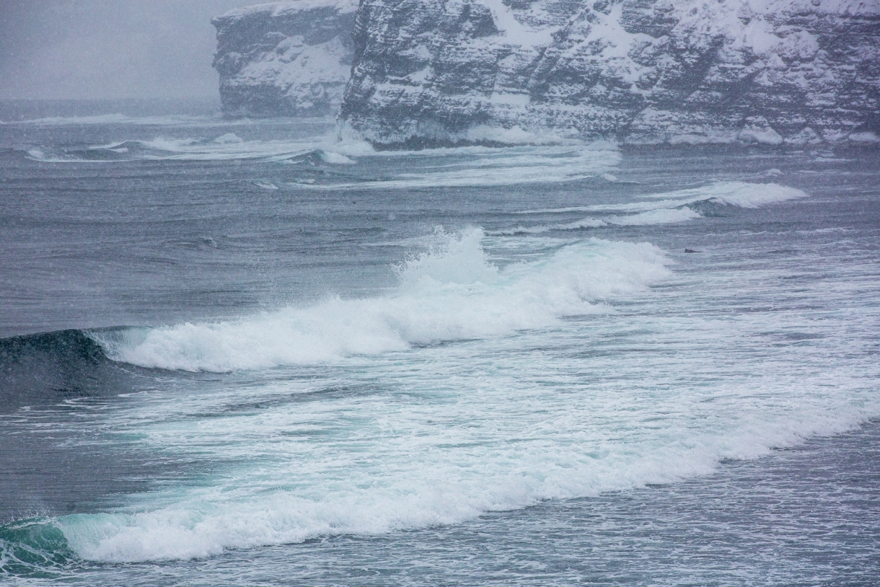 снегопад, снег, погода, циклон Мария Смитюк, ИА PrimaMedia