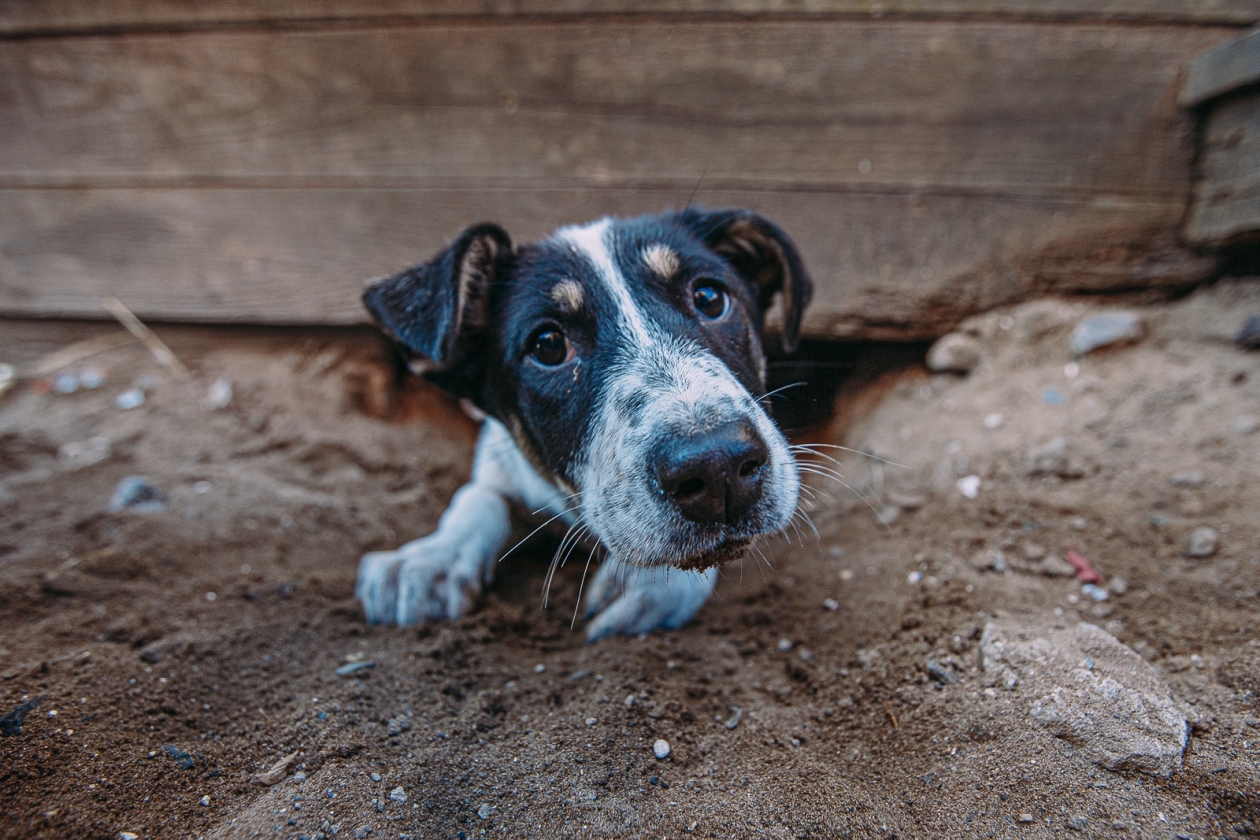 Тематическое фото ИА OmskMedia
