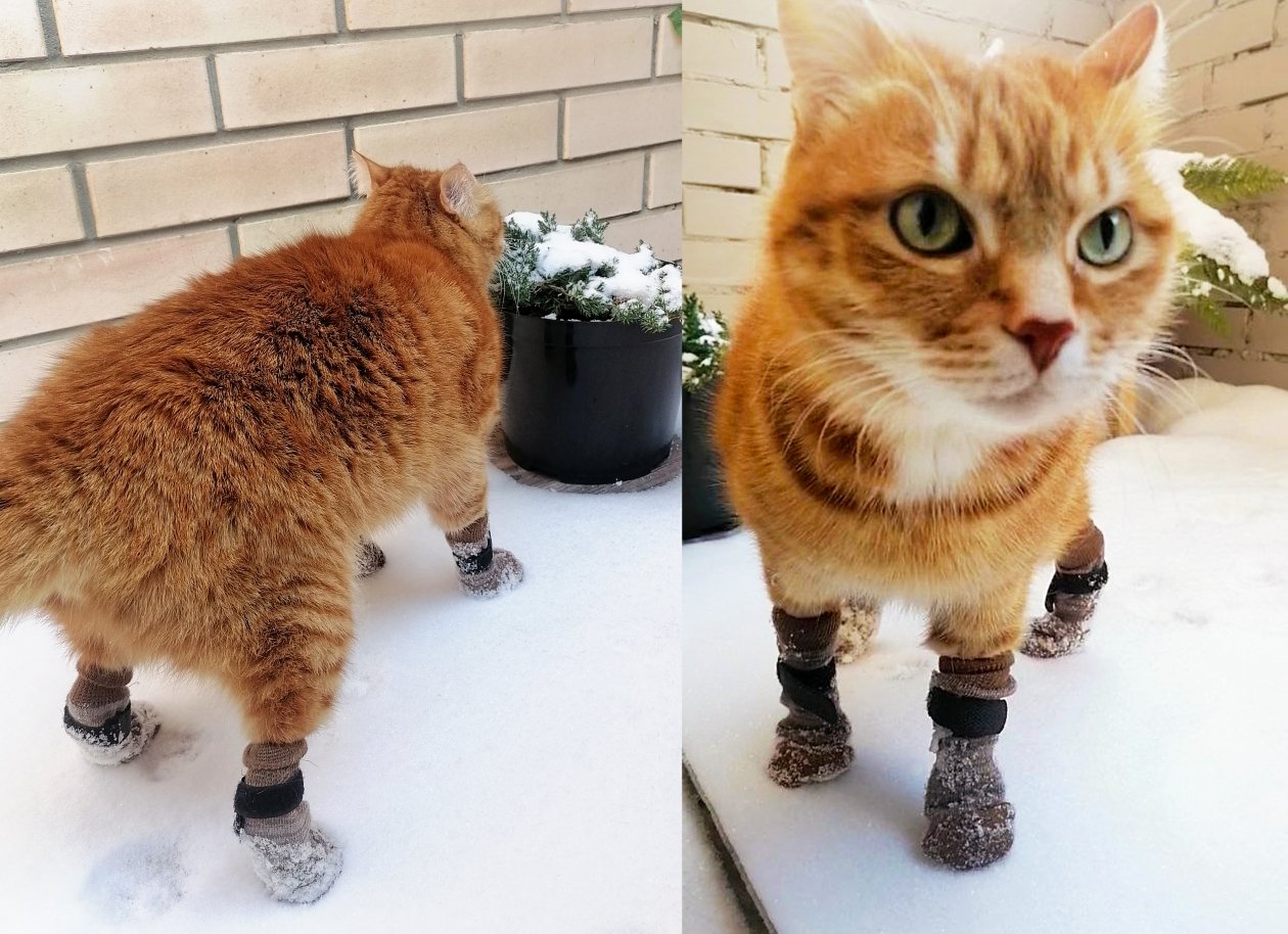 Тематическое фото ИА UssurMedia (18+)