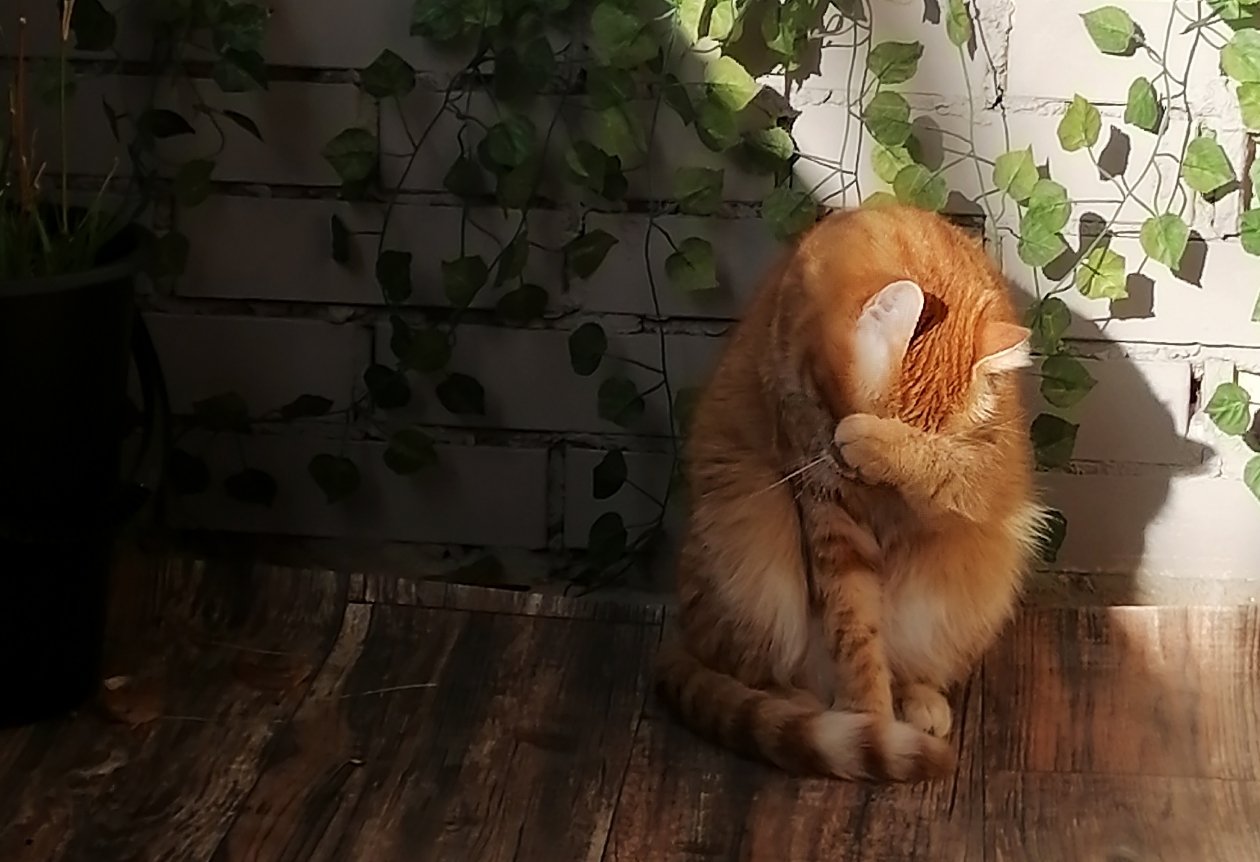 Фото: ИА UssurMedia (18+)