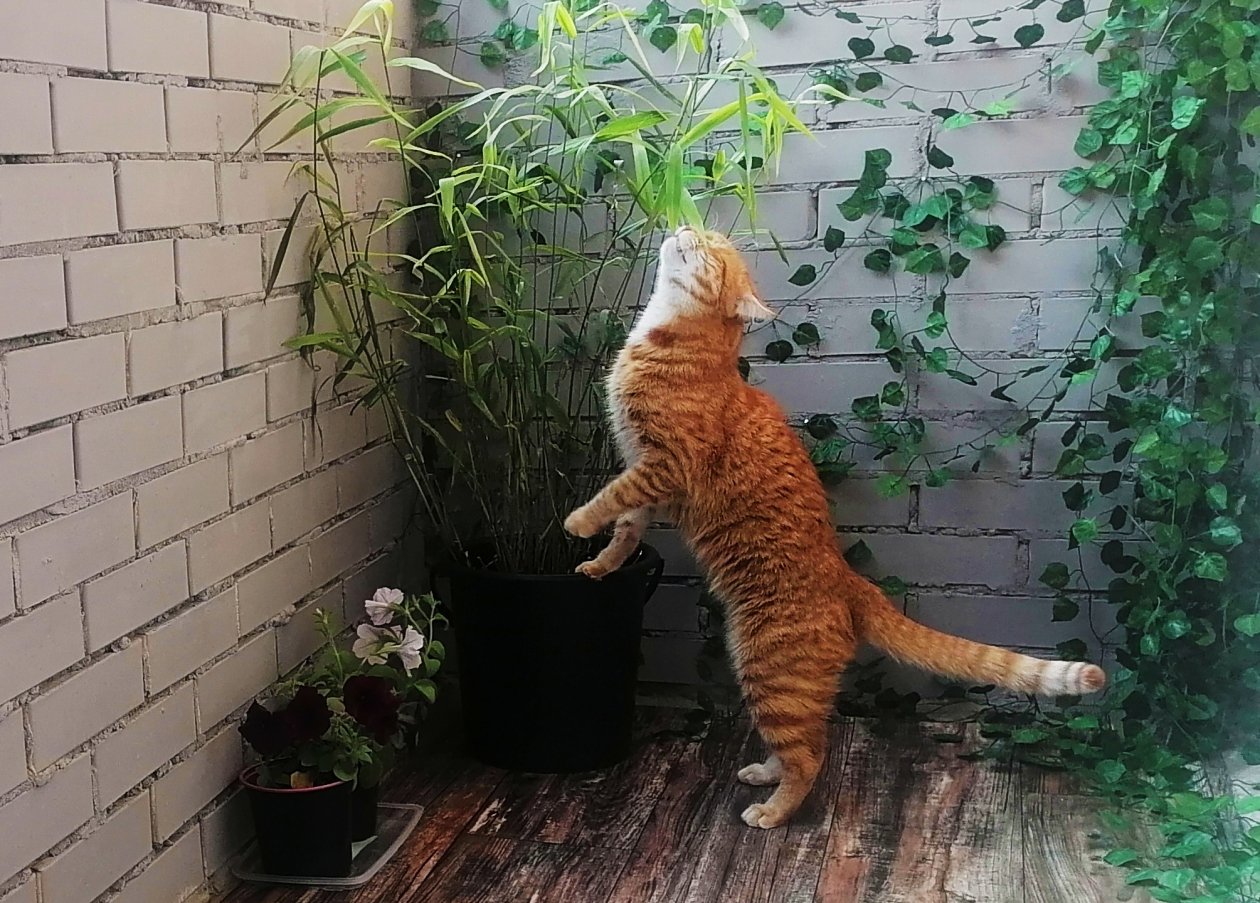 Фото: ИА UssurMedia (18+)