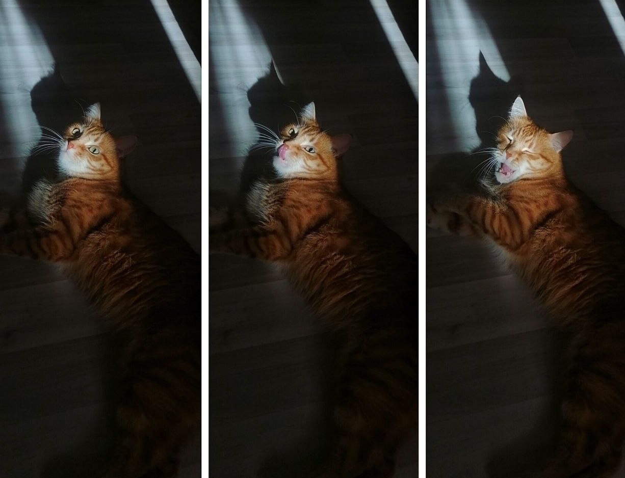 Фото: ИА UssurMedia (18+)